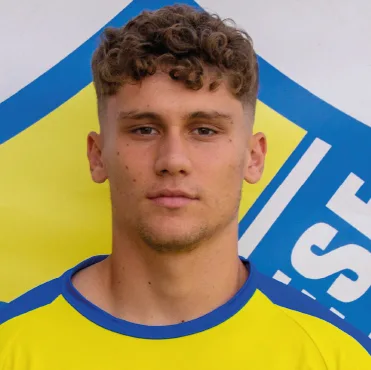 Stefano Piccinini