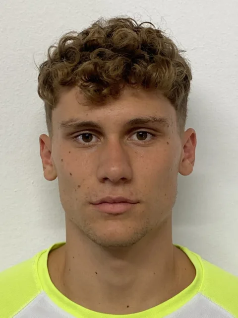 Stefano Piccinini